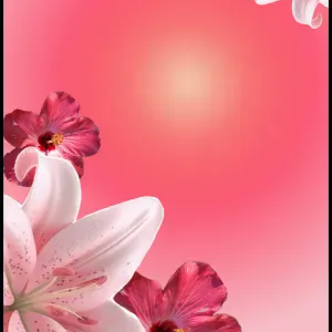 Baby sitter expérimentée à cergy