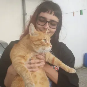 Pet sitting em Almeirim/Santarém