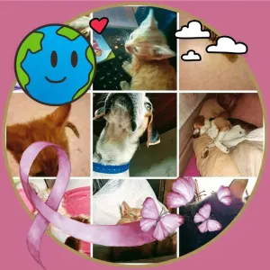 Auxiliaire de vie à  Saint-Chamond 