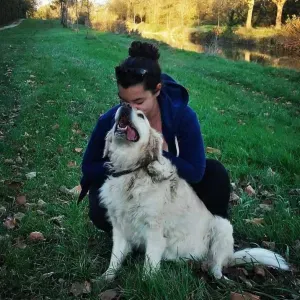 Heures de ménage et de compagnie 