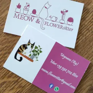 Disponibile come Cat Sitter Urgnano e limitrofi. 