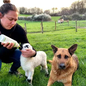 Vous pouvez compter sur nous pour votre ou vos animaux!