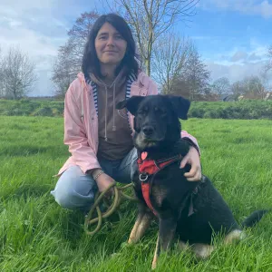 Pet sitter à Saint Renan et alentours