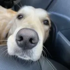 Étudiant SÉRIEUX et DISPONIBLE