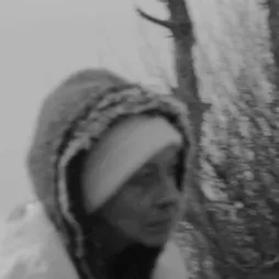 Depuis l'enfance j'ai toujours eu des chats 