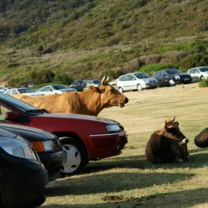 Aide aux devoirs pour Oscar 5eme