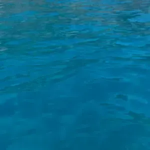Sono adetta di pulizie seria e affidabile