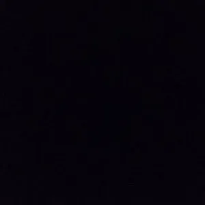 Cuidadora de animales en Valencia 