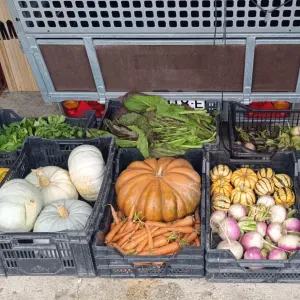 Cuisiner en restauration plus argens d entretien 