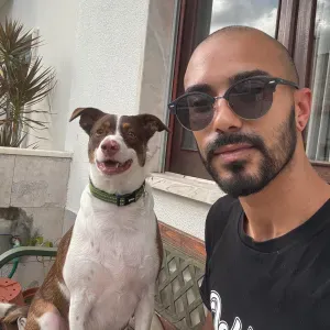 Serviços de PetSitting e PetWalking