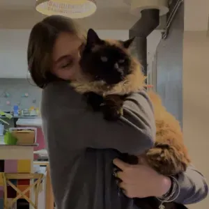 Pet-Sitter à Avignon sérieuse et enthousiaste 