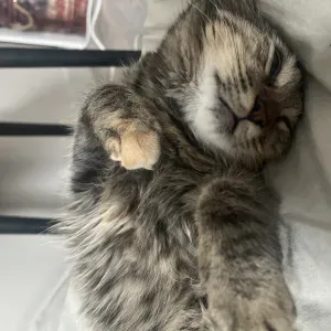 Aide rapide et fiable près de chez vous 