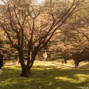 Pet-sitter ile-de-france (Peut se déplacer)