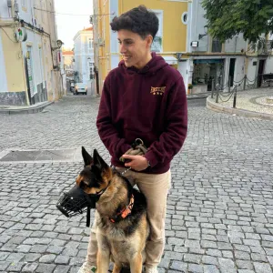 Pet sitting cães/gatos em Elvas