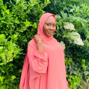 Alternance baby sitter expérimenté dans le 91