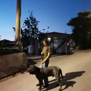 Dog Sitter Campania /Taxi Dog/ Wedding Day