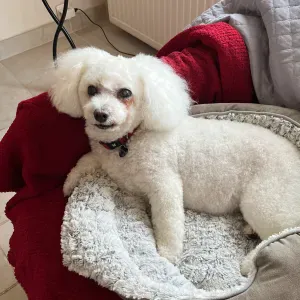 Garde le temps de la baignade 