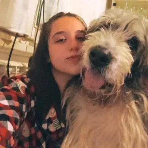 PET sitting Pontassieve (Firenze)