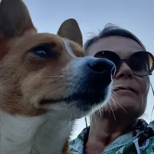 Garde de mon petit podengo