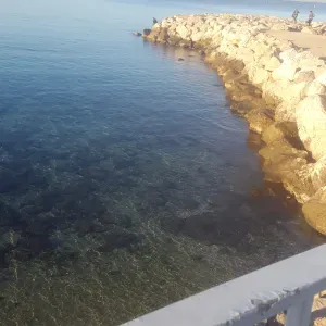 Baby-sitter, aide aux devoir  