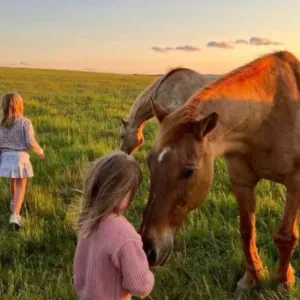 Clotilde aide à domicile à montpellier 