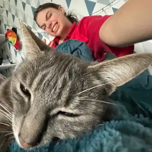 Pet situer à Pian sur Garonne !