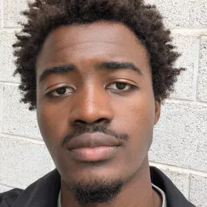 Compagnie, conversation, aide pour la gestion du courrier.