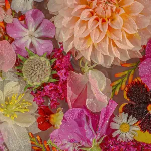 Aide au ménage occasionnel île de France 