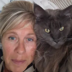 Aide menage repassage à domicile 