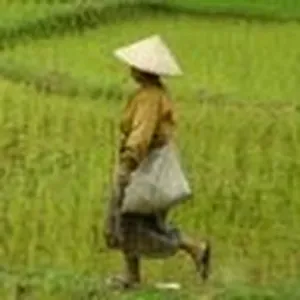 Emploi de femme de ménage Loire-Authion