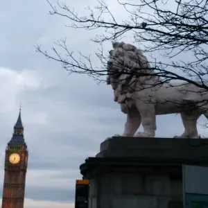 Cerco un servizio di pulizie vicino a me