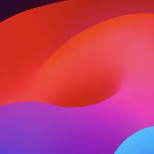 Homme de tout responsable a Dunkerque 