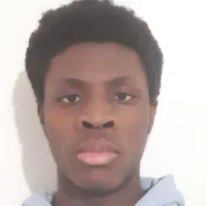 baby-sitter à l'écoute et dynamique