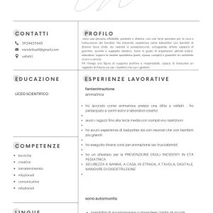 babysitter e aiuto compiti o ripetizioni 