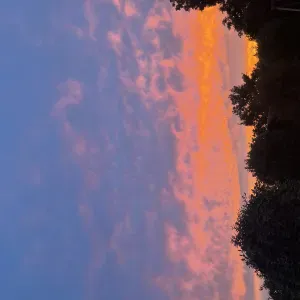 Pet-sitters Chercq surtout ou Tournai