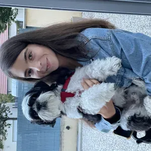 Je m'occupe de vos petits compagnons.