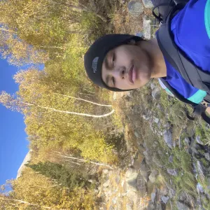 Compagnon pour vos compagnons de vies 