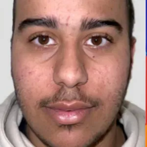 Pet-Sitter à Paris et proche Paris 