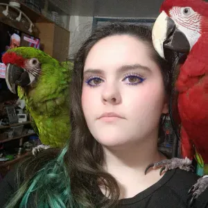 Pet-Sitter pour vous rassurer au quotidien