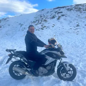 Cerco un petsitter vicino a me