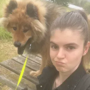 Baby-sitter autour de pont de roide 