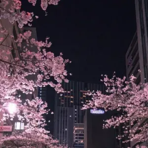 Pet-sitter en région parisienne!!