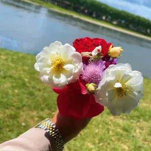 Baby sitter Aide à domicile  Assistante de vie aux familles 