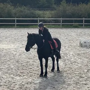 Pet-sitter Villemur et ses environs 