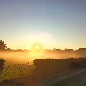 Employé de maison polyvante en Sarthe