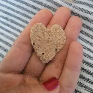 Vaga para Petsitter em Loulé