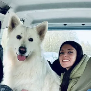 Vos animaux choyés comme à la maison !