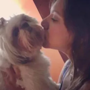 Pet Sitting em Braga e região 