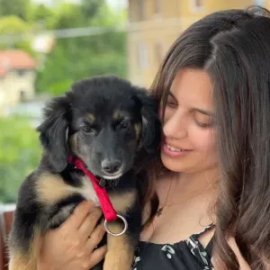 Donna per le pulizie periodiche