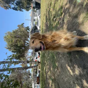 Elève studieux Terminale générale 